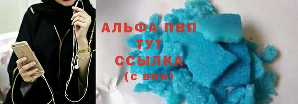 дживик Верхний Тагил
