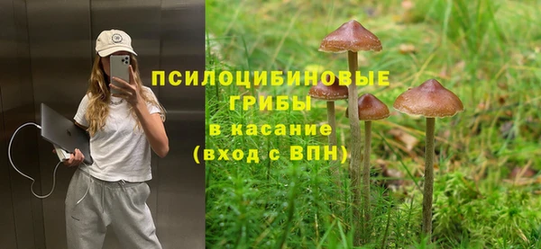 дмт Верея