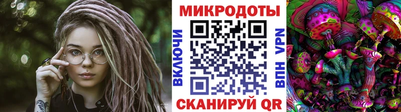 Галлюциногенные грибы MAGIC MUSHROOMS Гдов